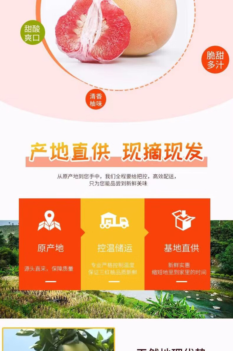 福建平和三红柚红肉蜜柚当季现摘整箱红心柚子新鲜水果