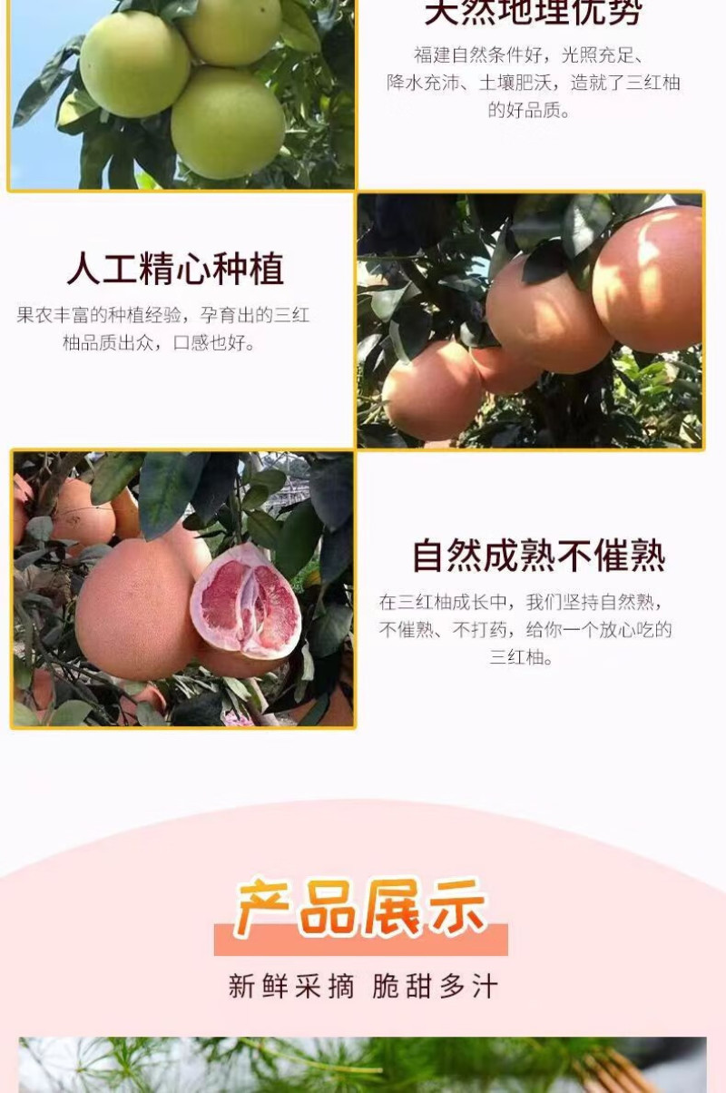 福建平和三红柚红肉蜜柚当季现摘整箱红心柚子新鲜水果