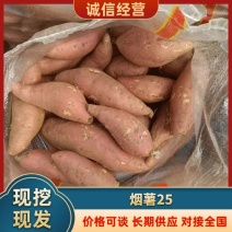 大量烟薯二五，支持各种包装。各种规格。产地直发，代发全国