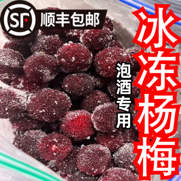 新鲜野生冰冻杨梅泡酒专用酸杨梅冰袋冰镇杨梅汤