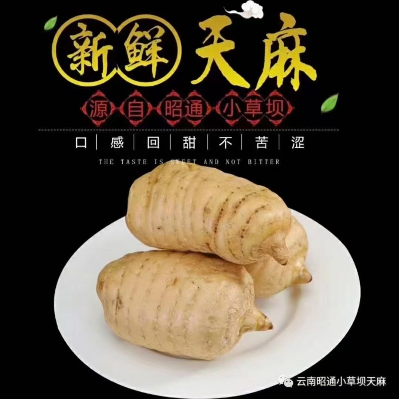 【实力推荐】昭通天麻产地直发可视频看货对接全国品质保证