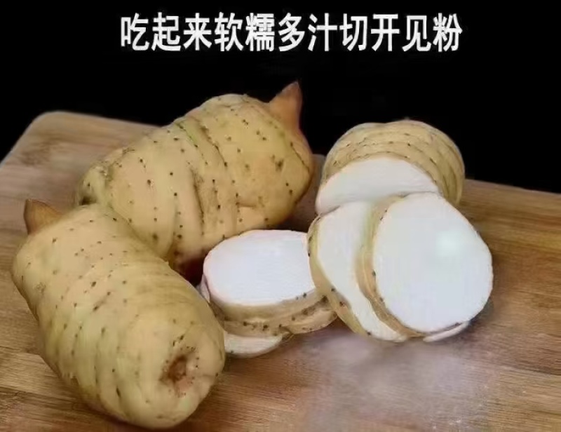 【推荐】昭通天麻视频看货一手货源对接全国品质保证