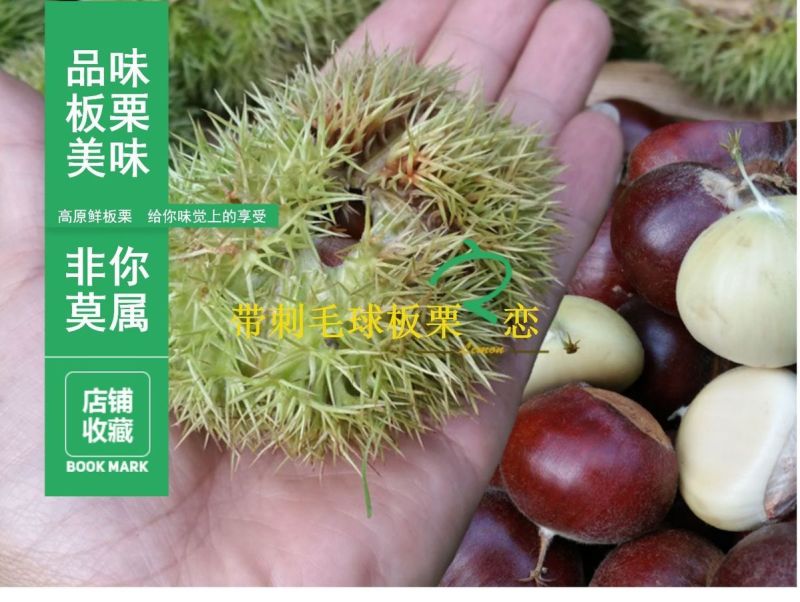 一件代发现剥板栗米生板栗米红板栗米红野生小毛栗现货