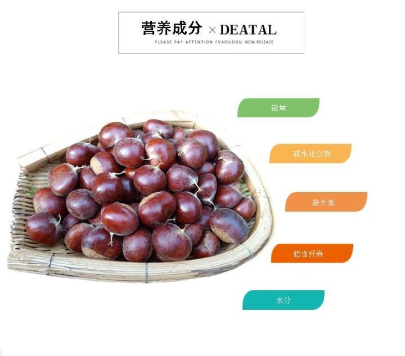 一件代发现剥板栗米生板栗米红板栗米红野生小毛栗现货