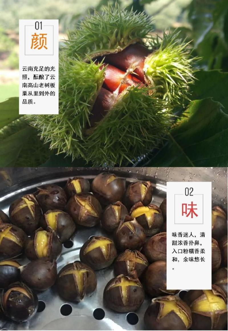 一件代发现剥板栗米生板栗米红板栗米红野生小毛栗现货