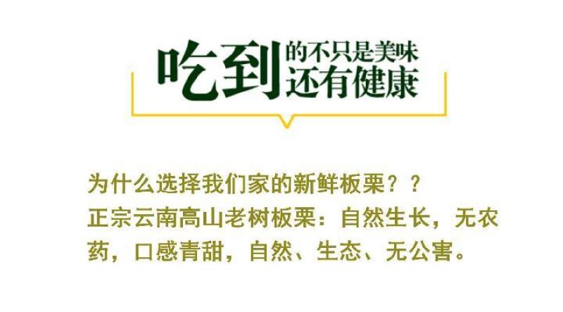 一件代发现剥板栗米生板栗米红板栗米红野生小毛栗现货