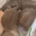 纯外塘3年甲鱼，3斤内（1-3斤），公母统货，包塘打包价