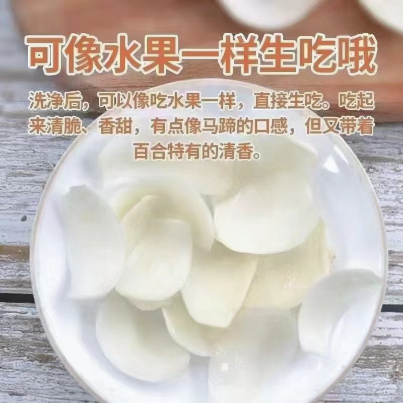 兰州甜百合鲜百合产地直发营养丰富口感清香品质保障
