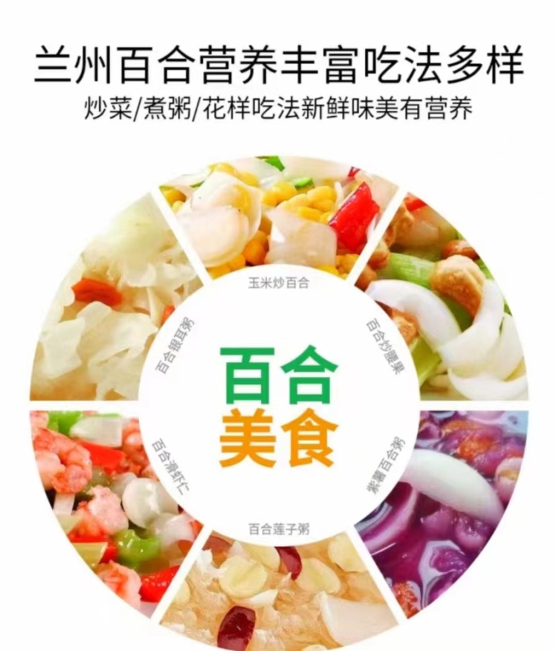 兰州甜百合鲜百合产地直发营养丰富口感清香品质保障