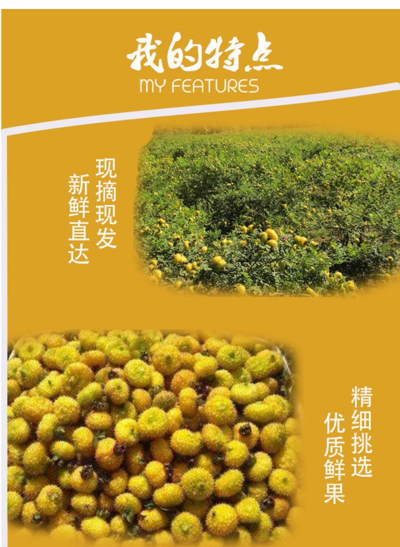 新鲜刺梨鲜果泡酒贵州特产野生刺梨VC鲜果现摘现发