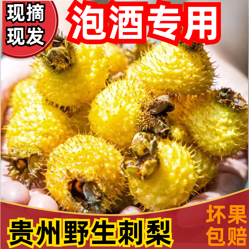 新鲜刺梨鲜果泡酒贵州特产野生刺梨VC鲜果现摘现发