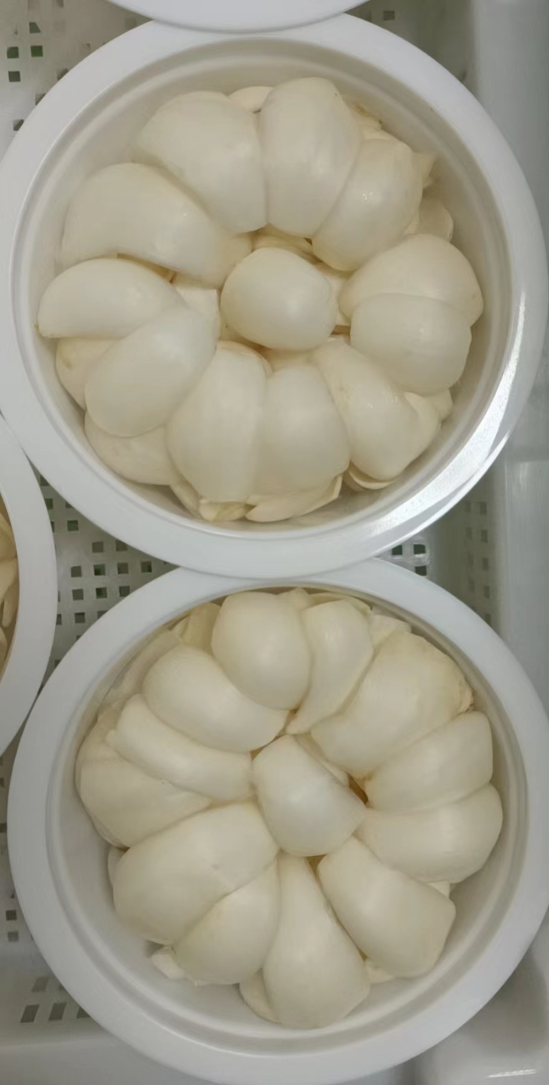 鲜百合厂家直发品质保障营养丰富量大优惠进店咨询