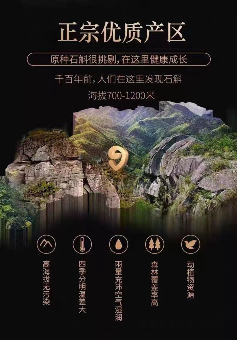 正宗铁皮石斛5年崖壁生长铁皮枫斗颗粒干石斛胶质多可代磨