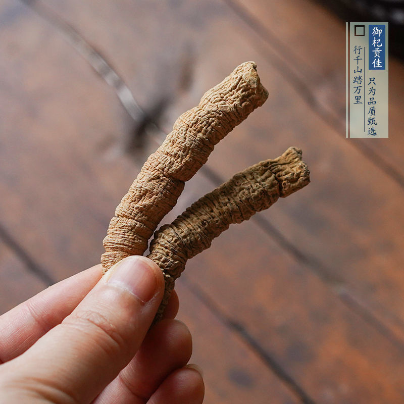 巴戟天优质精选全抽芯巴戟天无硫全干净货巴戟天规格