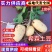 精品希森6号土豆黄皮黄心产地直发质量保证全国发货