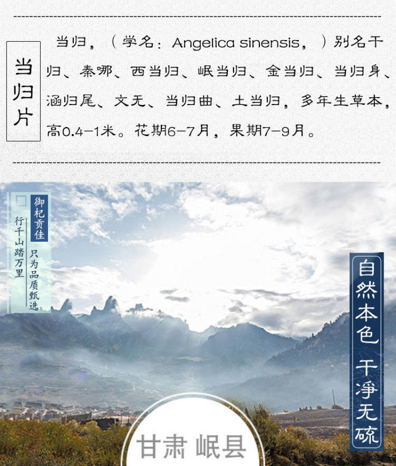 甘肃岷县当归片大货批发零售当归规格齐全现货速发量大价优当