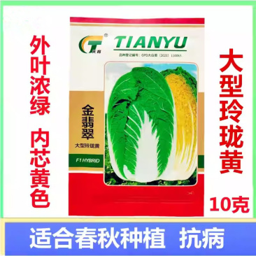 金翡翠大型玲珑黄黄心大白菜种子抗根肿病外叶浓绿内芯黄