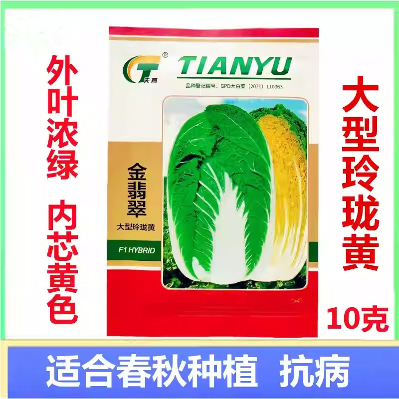 金翡翠大型玲珑黄黄心大白菜种子抗根肿病外叶浓绿内芯黄