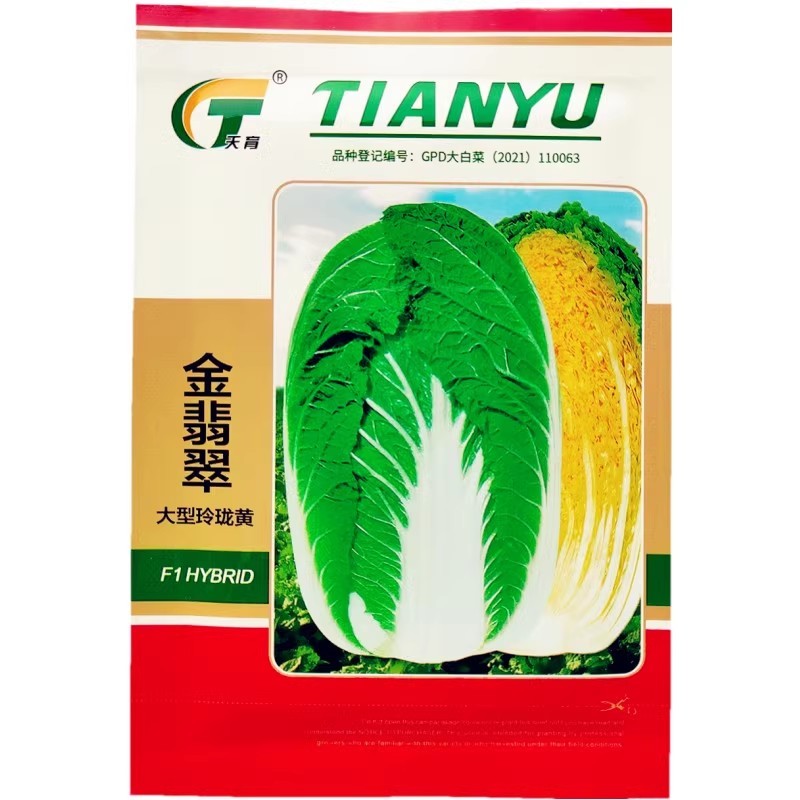 金翡翠大型玲珑黄黄心大白菜种子抗根肿病外叶浓绿内芯黄