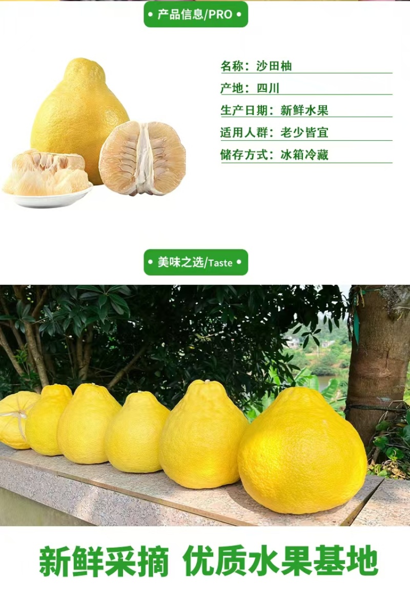 四川沙田柚，四川柚子，美味可口，诚信经营，欢迎选购