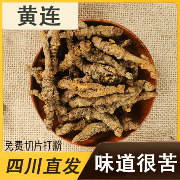四川黄连中药材黄连片黄连茶泡茶四川鸡爪黄莲草药川黄莲黄莲