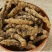 四川黄连中药材黄连片黄连茶泡茶四川鸡爪黄莲草药川黄莲黄莲