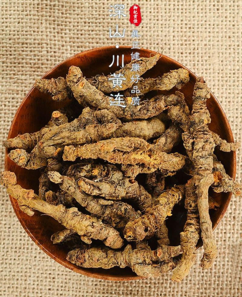 四川黄连中药材黄连片黄连茶泡茶四川鸡爪黄莲草药川黄莲黄莲