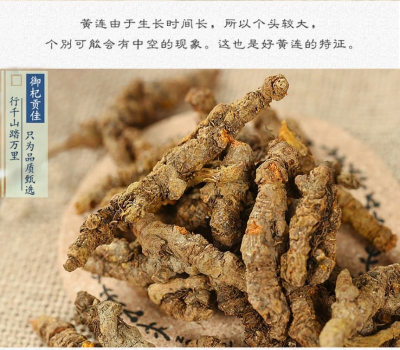 四川黄连中药材黄连片黄连茶泡茶四川鸡爪黄莲草药川黄莲黄莲