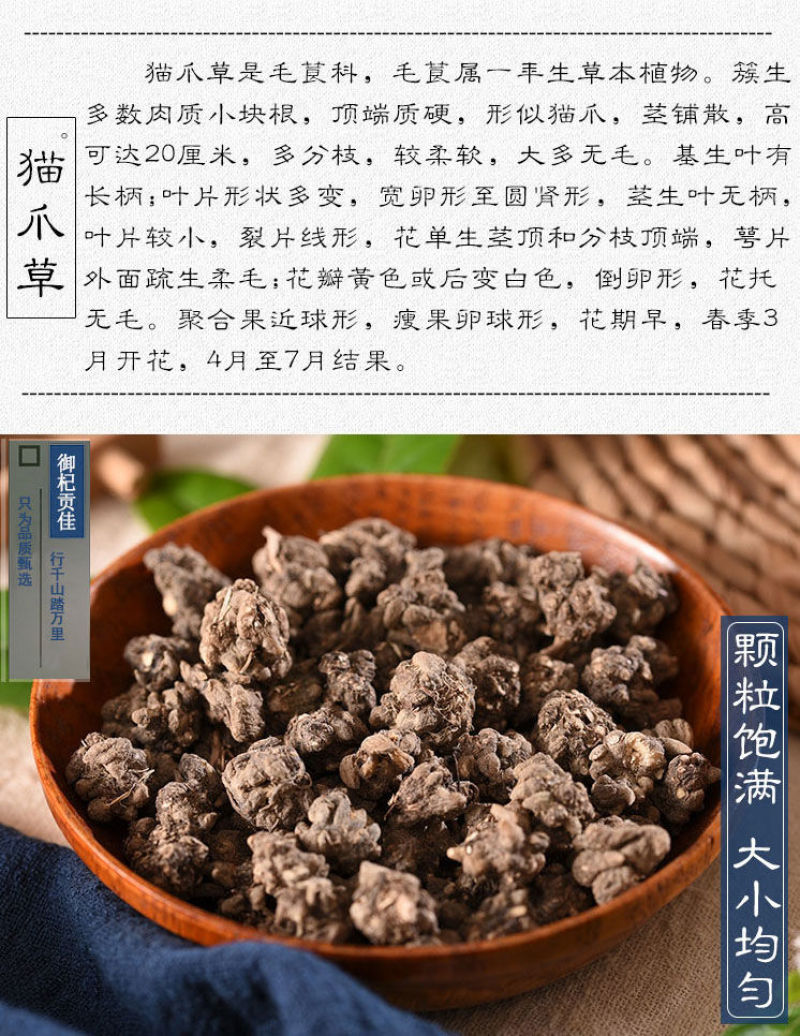猫爪草特级猫爪草野生晒干中药材无硫新鲜猫爪草当季