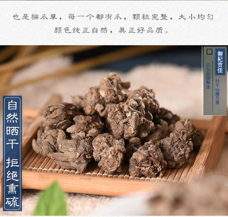 猫爪草特级猫爪草野生晒干中药材无硫新鲜猫爪草当季