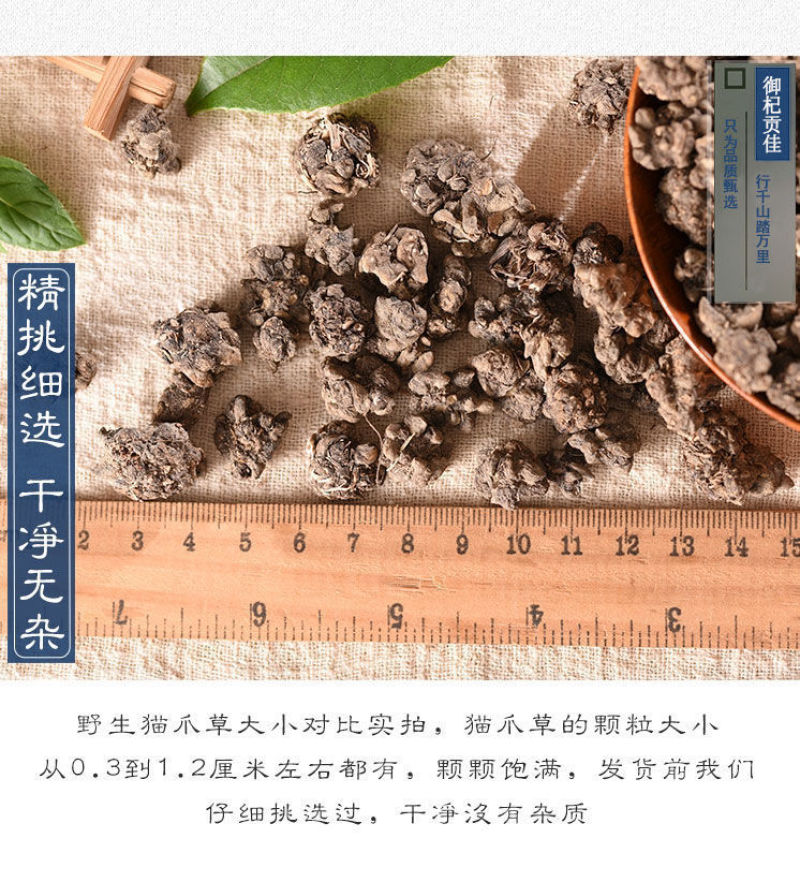 猫爪草特级猫爪草野生晒干中药材无硫新鲜猫爪草当季