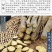 【精选甘草大片】野生甘草圆片红皮甘草搭黄芪枸杞泡水泡茶包