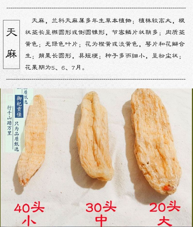 云南天麻片新鲜干货天麻切片野外生长晒干天麻全国包邮