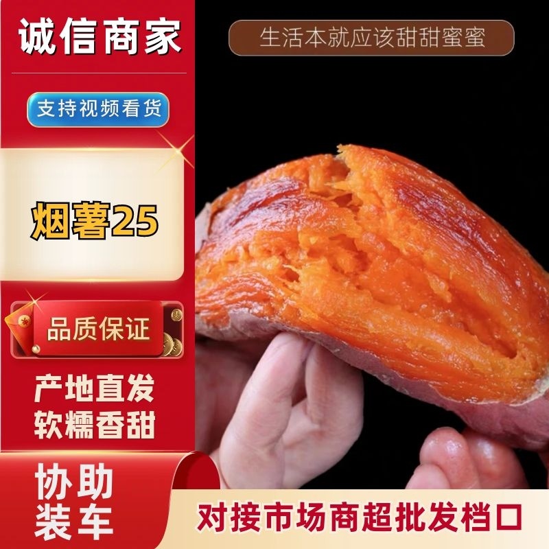 天津烟薯25大量供应，产地内蒙。口感细腻软糯香甜。