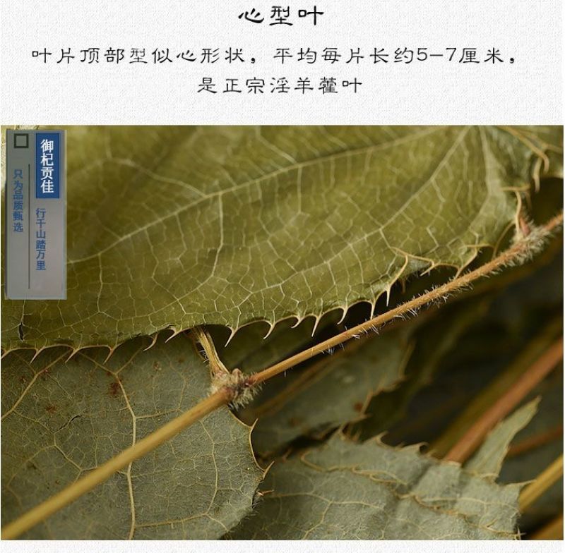 药材淫羊霍淫羊藿淫羊藿粉仙灵脾洋火叶包邮