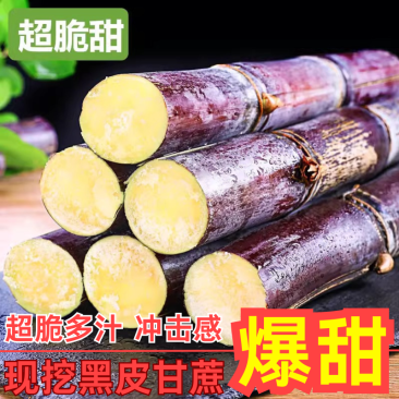 广西黑皮甘蔗一件代发招直播合作团队