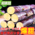 广西黑皮甘蔗一件代发招直播合作团队