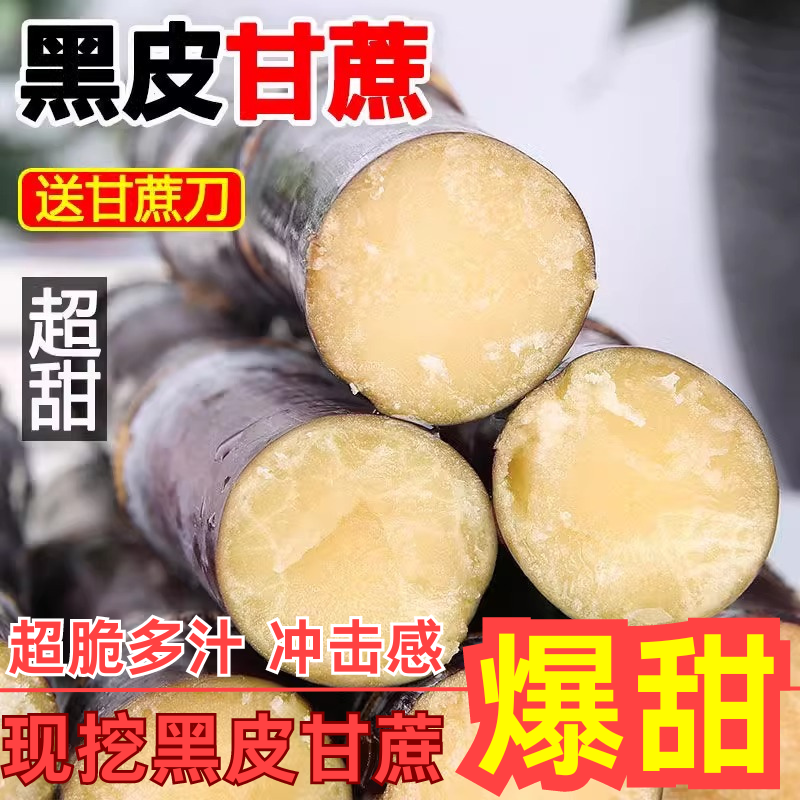广西黑皮甘蔗一件代发招直播合作团队