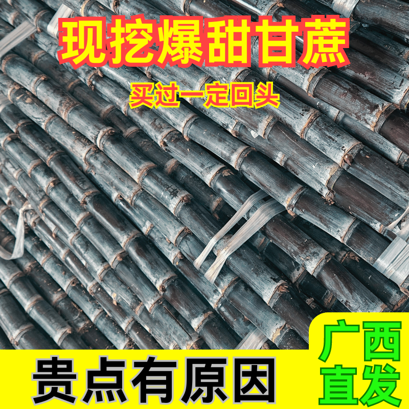 广西黑皮甘蔗一件代发招直播合作团队