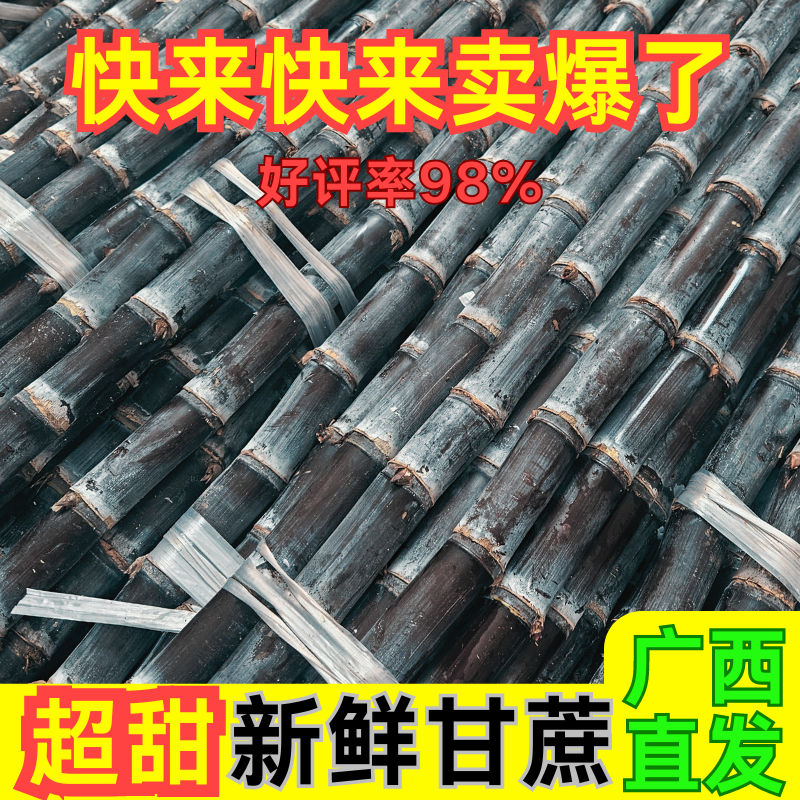 广西黑皮甘蔗一件代发招直播合作团队