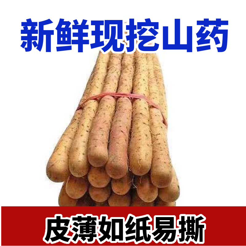 铁棍山药一件代发诚招直播合作当日发货不压单