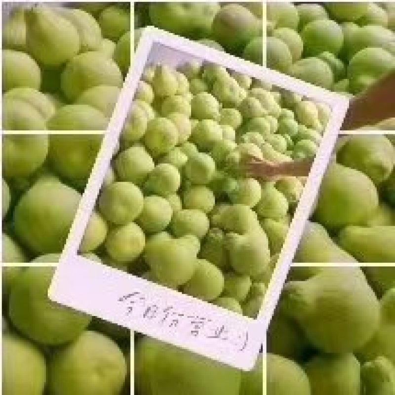 四川沙田柚，泸州沙田柚子，皮薄味甜，现货速发可视频看货，