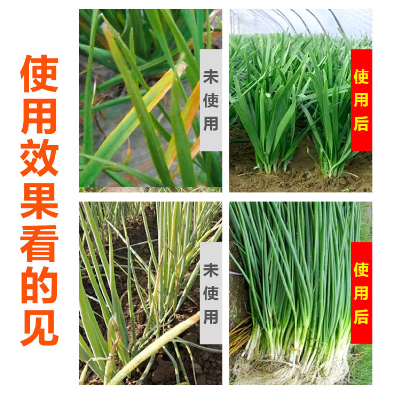 捷沅韭葱蒜干尖绿大葱小葱大蒜韭菜干尖黄叶烂根死棵专用叶面