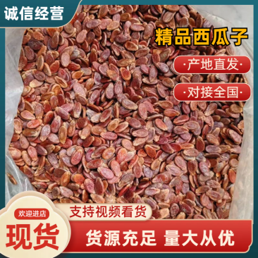 西瓜子红瓜子/精品瓜子量大从优品质保障欢迎洽谈合作