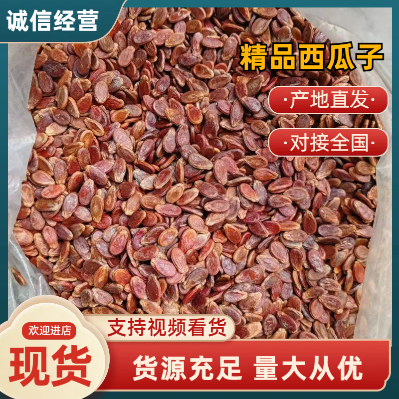西瓜子红瓜子/精品瓜子量大从优品质保障欢迎洽谈合作