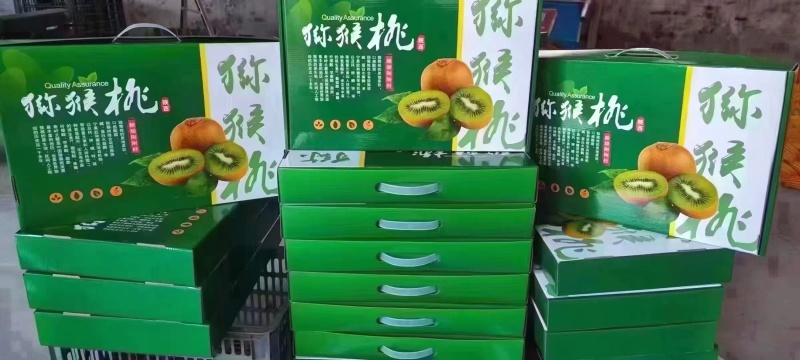 徐香猕猴桃一件代发批发价五斤装包邮