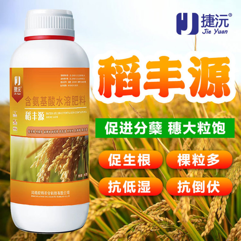 捷沅稻黄金稻丰源籽粒饱满抗倒伏促分蘖促早熟灌浆水稻高产叶