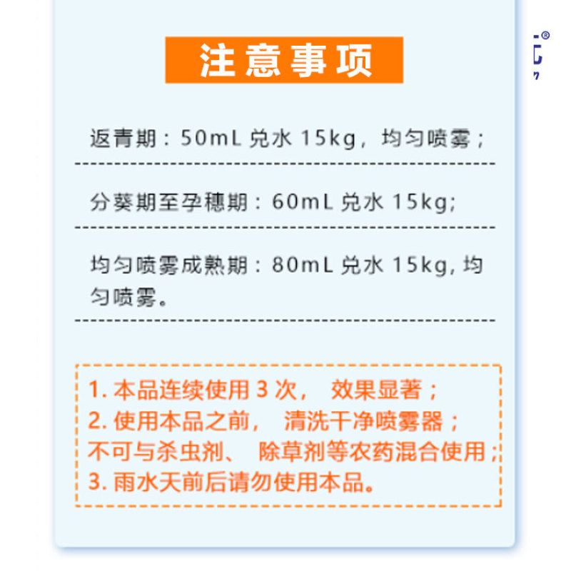 捷沅稻黄金稻丰源籽粒饱满抗倒伏促分蘖促早熟灌浆水稻高产叶