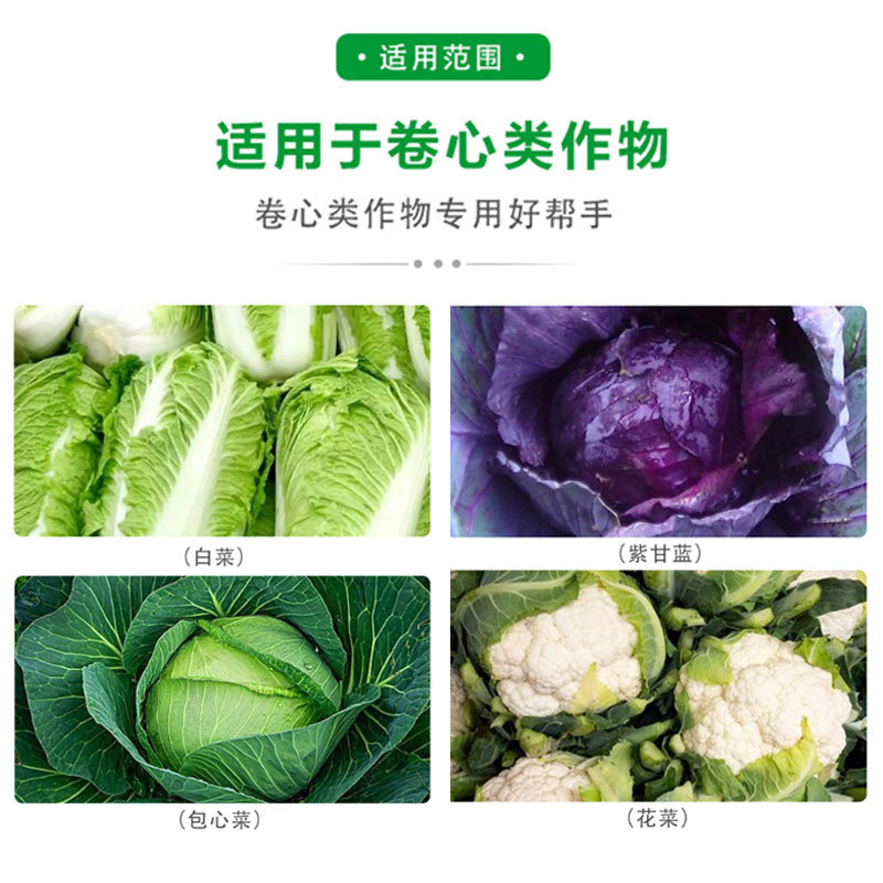 捷沅白菜甘蓝增产防腐包心剂加速包心抗冻白菜种植增产高产叶