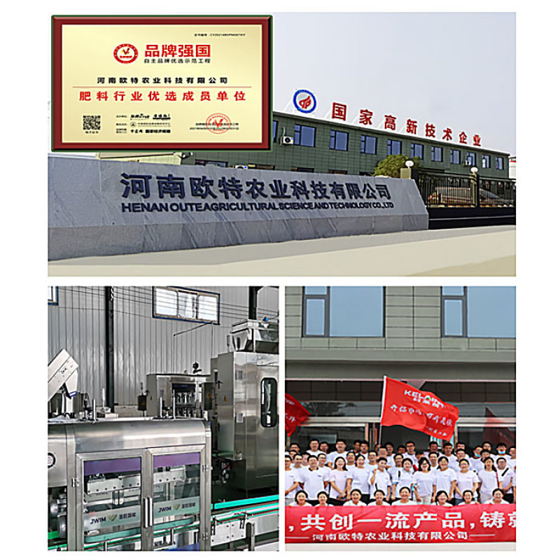 捷沅白菜甘蓝增产防腐包心剂加速包心抗冻白菜种植增产高产叶